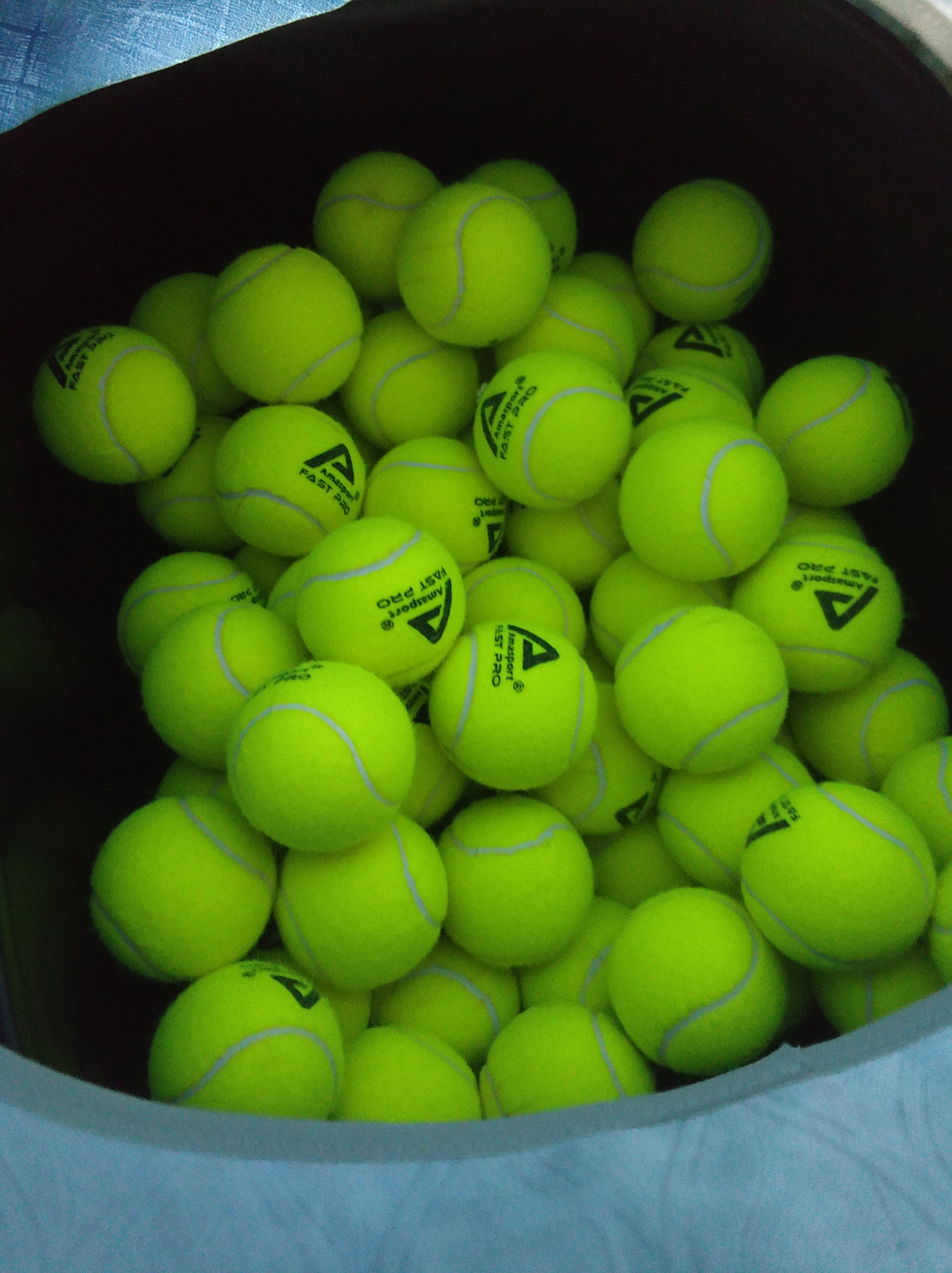 他们取胜的 他们取胜的